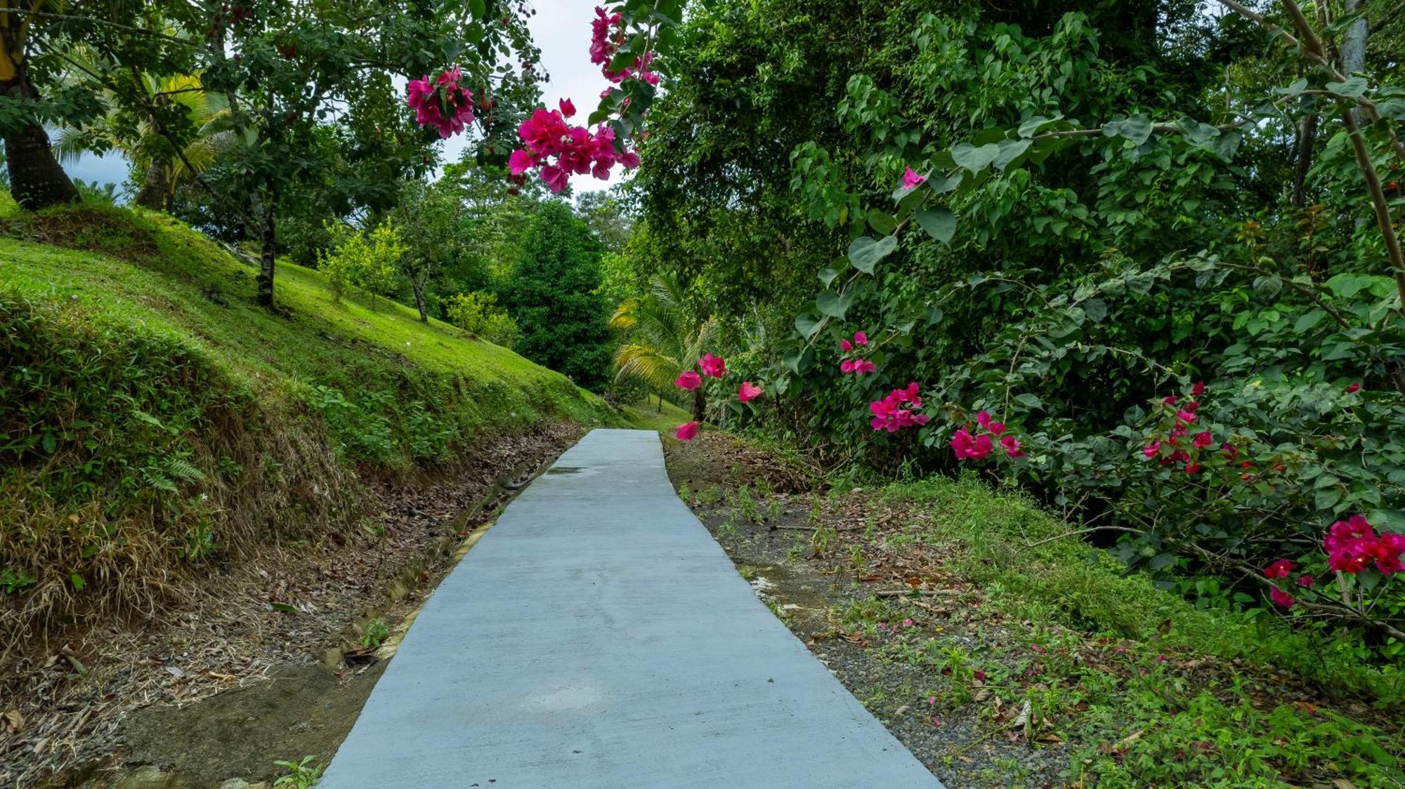 Serenity Rainforest Condos La Fortuna Екстериор снимка